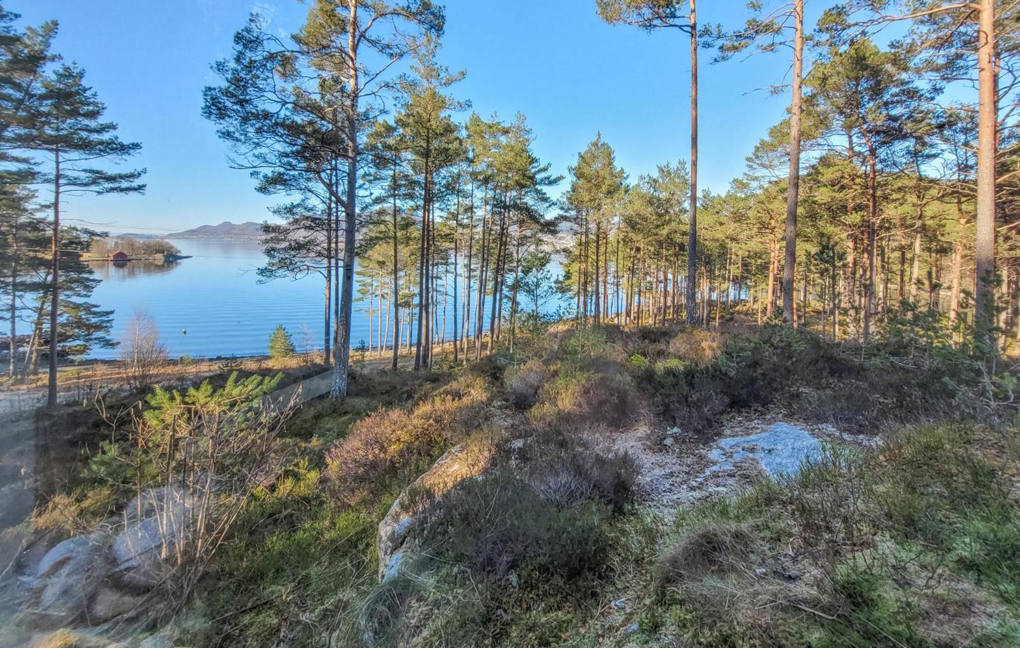 Gorgeous Home In Jorpeland With House Sea View Bagian luar foto